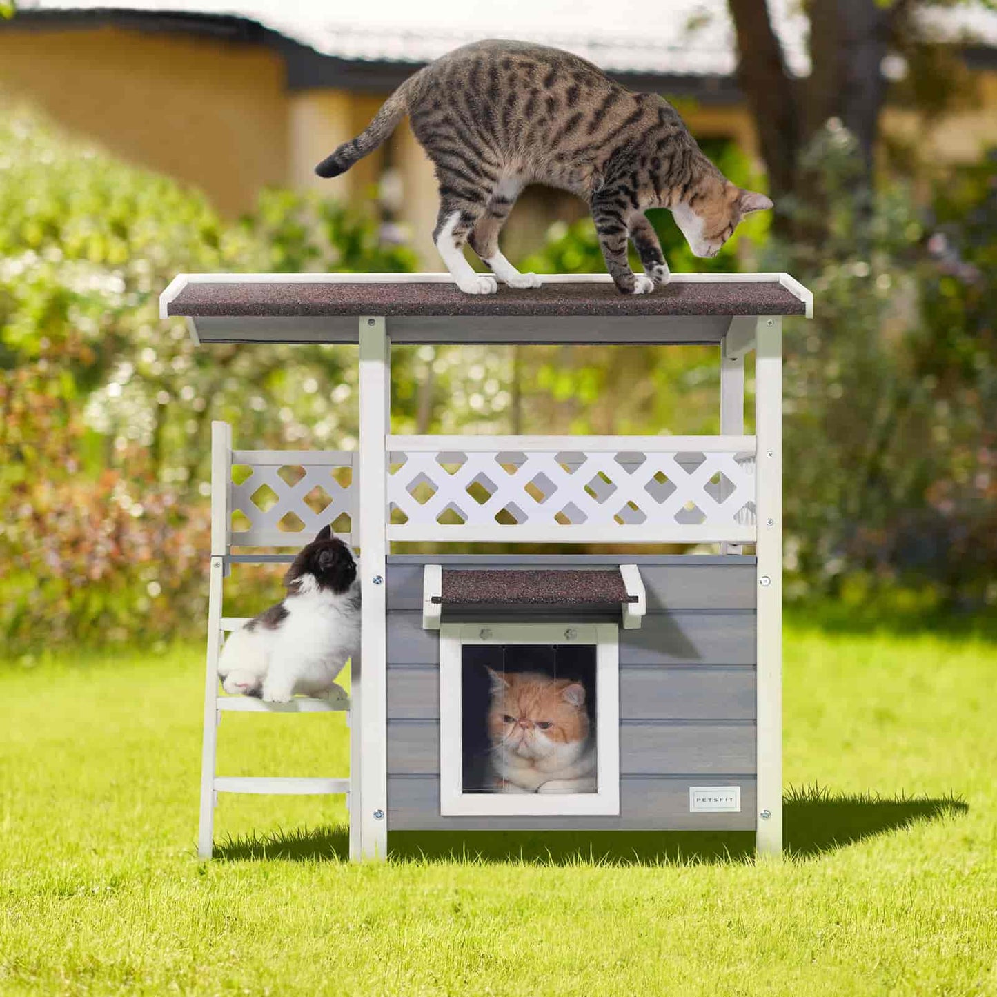 PETSFIT Outside Cat House Stair or Scratch Board 2 Story Design Perfect for Multi Cats - Pet Supplies