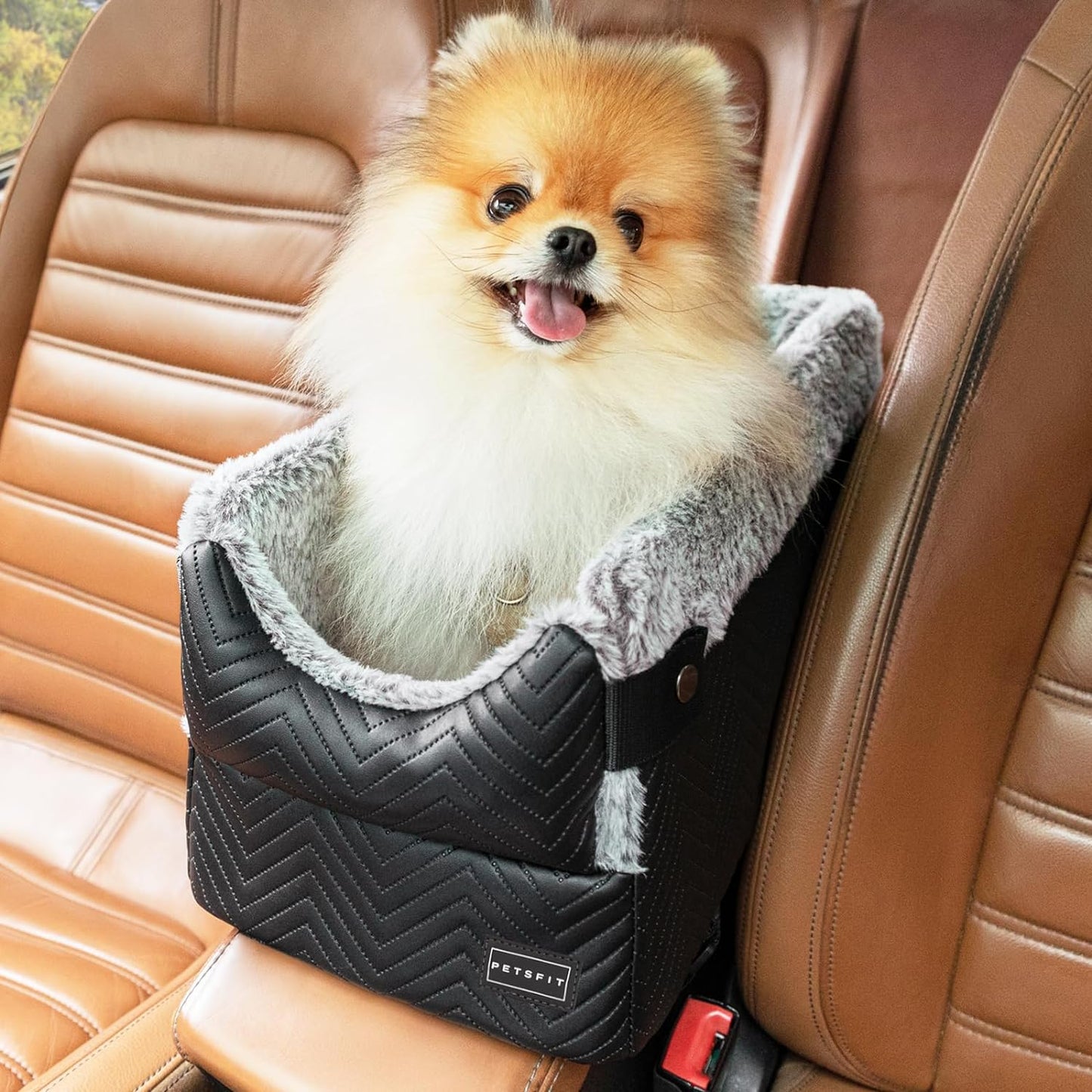PETSFIT Consoler Seats For Dogs Up to 12 Lbs