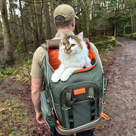 Katze sitzt entspannt im Sunnypet Rucksack beim Wandern im Wald