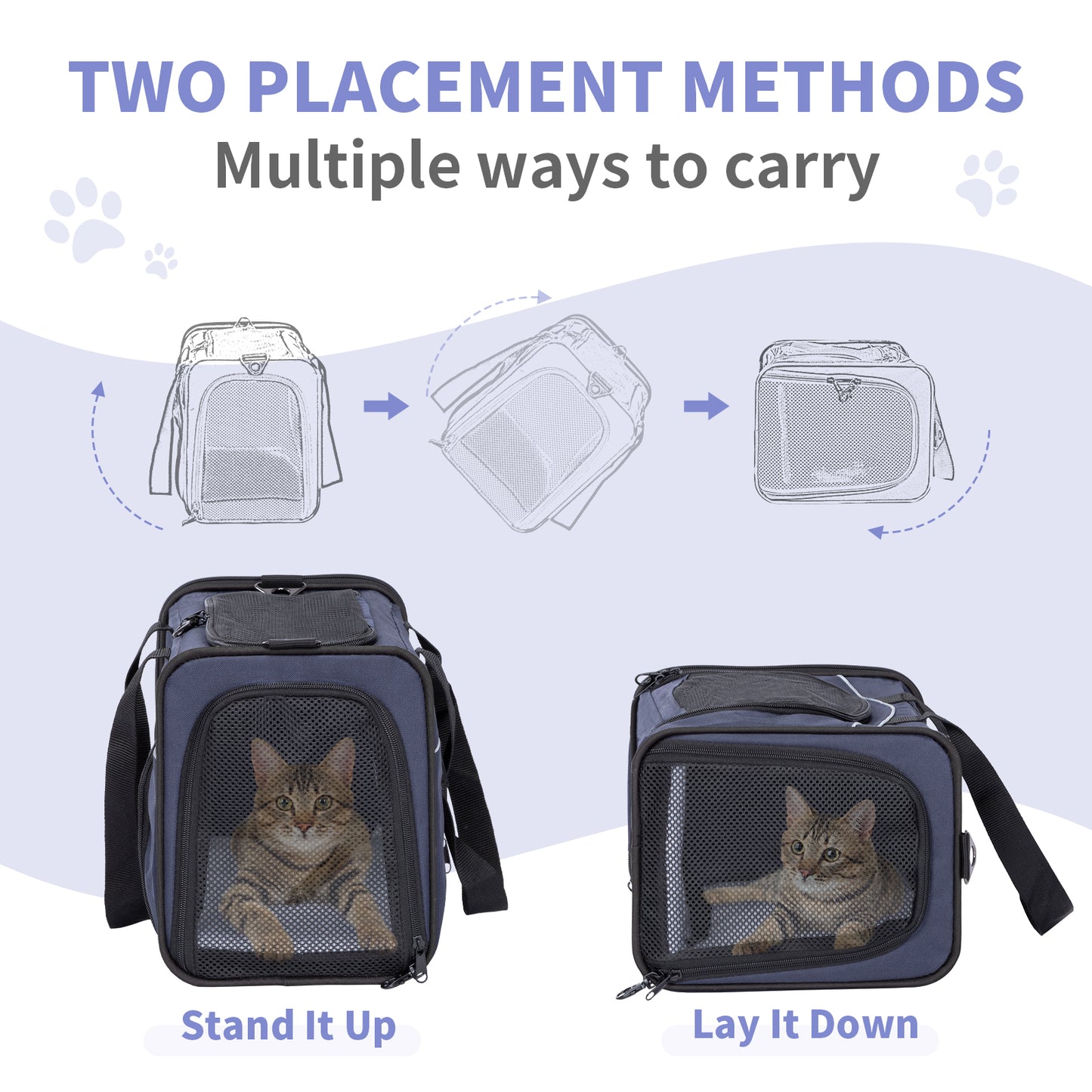 Petsfit Transporttasche Katze & Hundetasche Flugzeug | Flugtasche für Hunde & Transportbox Katze | Flugtaugliche Haustiertasche | Sicherer Transport in Auto, Flugzeug und Bahn, S/Blau