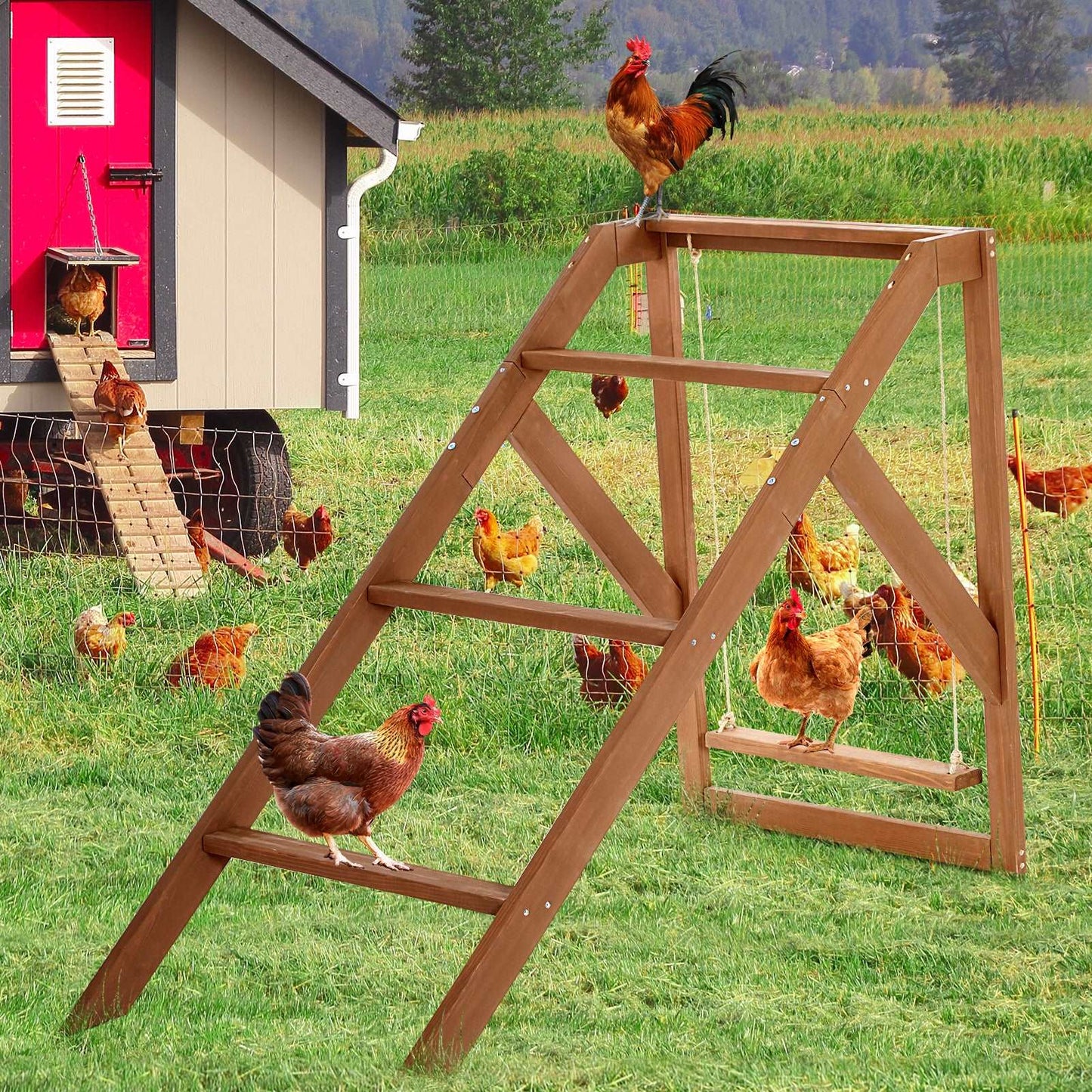 petsfit-chicken-swing-set-for-pets-healthy-happy-4-chicken-perches-with-swing-fit-for-8-10-chicks-chicken-toys-for-coop-accessories-06