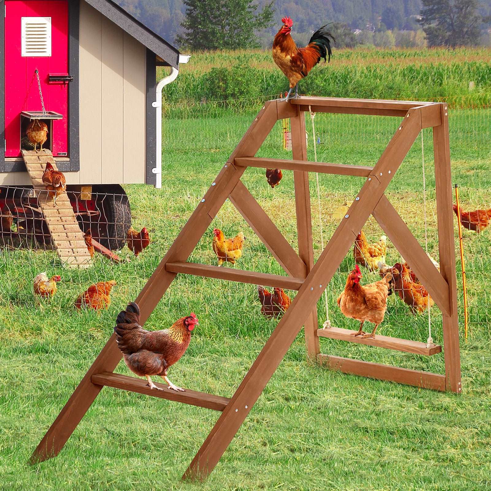 petsfit-chicken-swing-set-for-pets-healthy-happy-4-chicken-perches-with-swing-fit-for-8-10-chicks-chicken-toys-for-coop-accessories-06