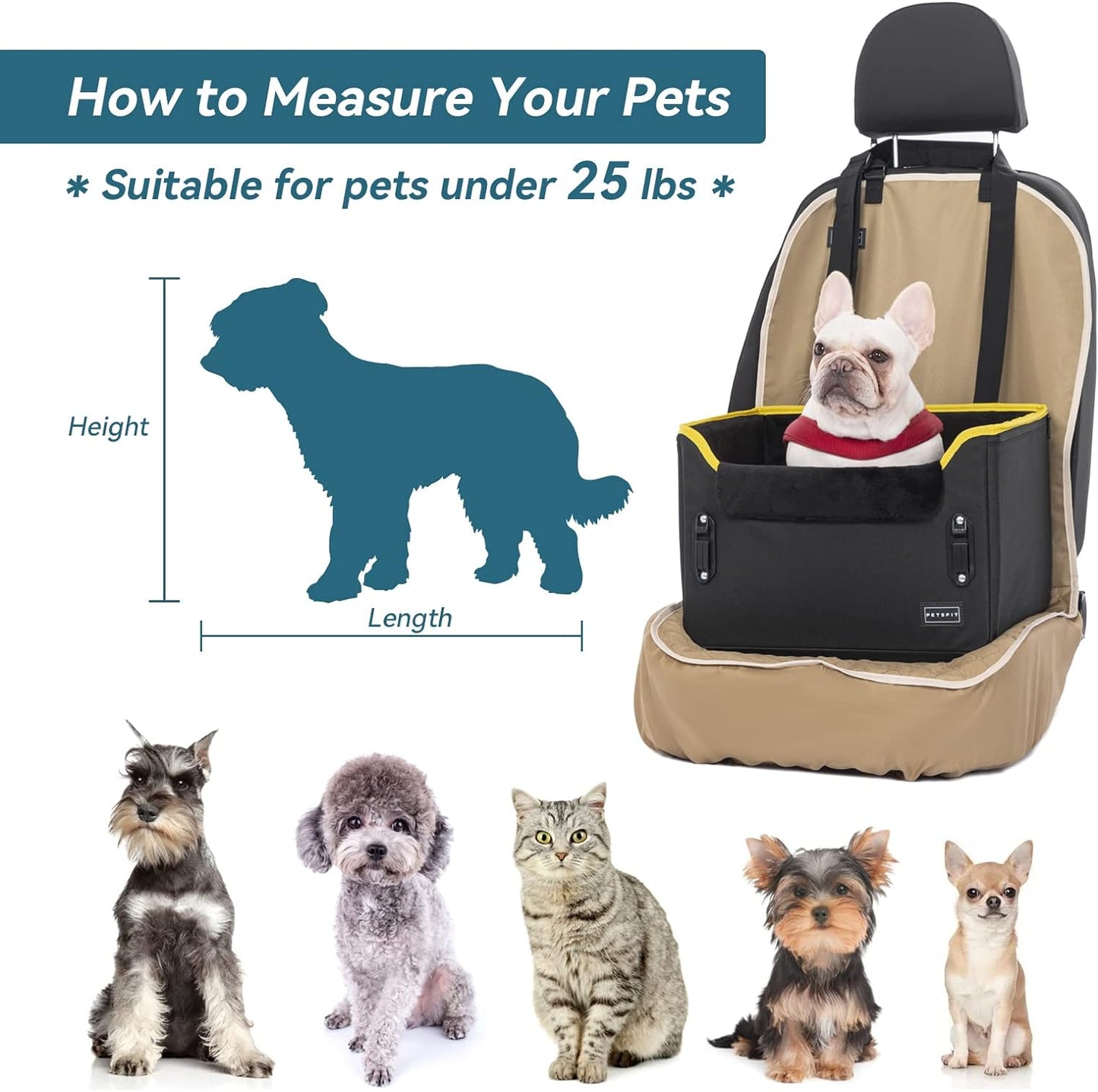 Petsfit Hunde Autositz für kleine Hunde, Hundesitz Auto Rückbank, Extra sicherer Stabiler Hundeautositz Hundesitz mit Sicherheitsgurt-Halteclip und Plüschkissen für kleine Hunde bis zu 6kg, Schwarz