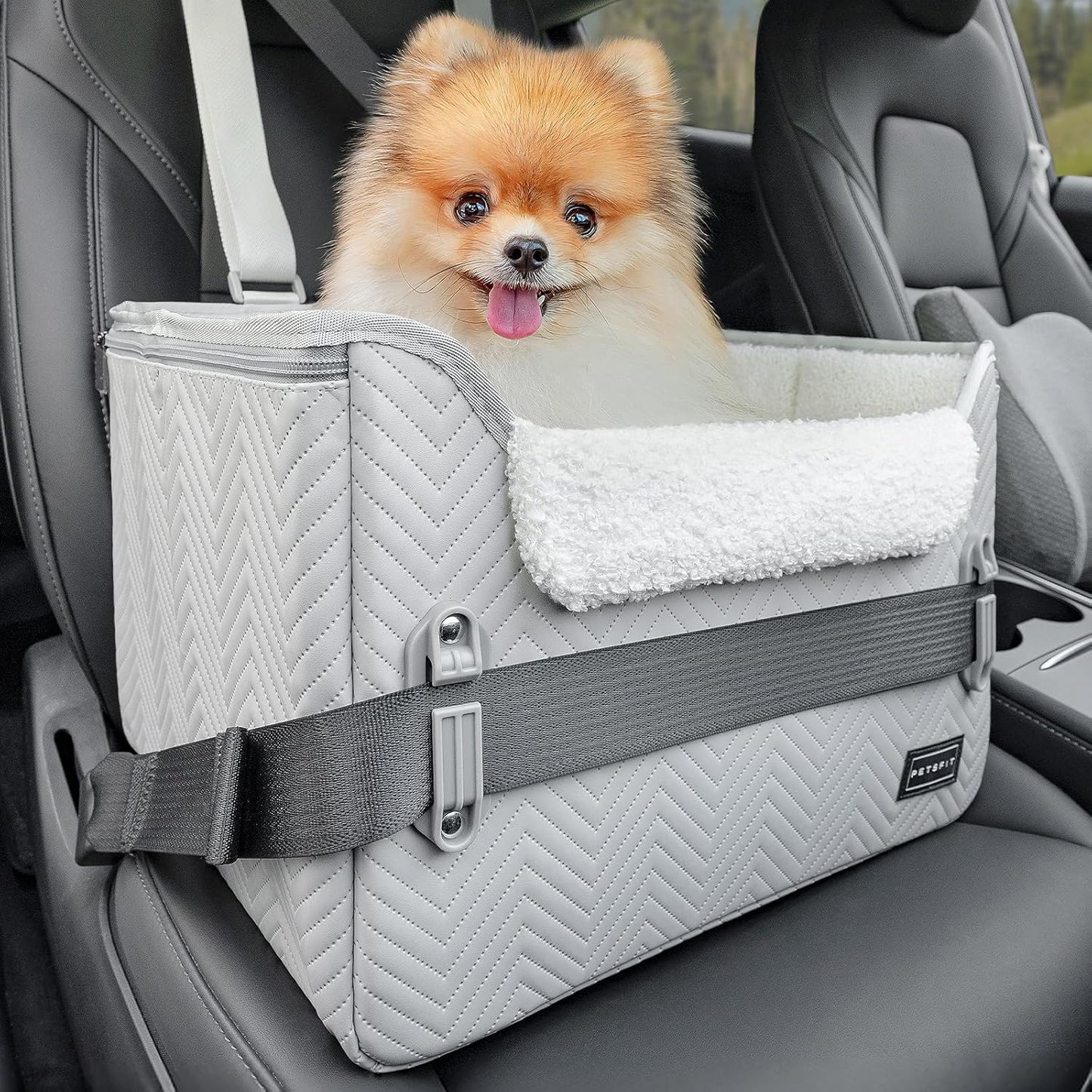 Petsfit Hunde Autositz für kleine Hunde, Hundeautositz Hundesitz Auto Rückbank Beifahrersitz sicherer Stabiler mit Sicherheitsgurt-Halteclip und Plüschkissen für kleine Hunde bis zu 8kg,Leder, Grau