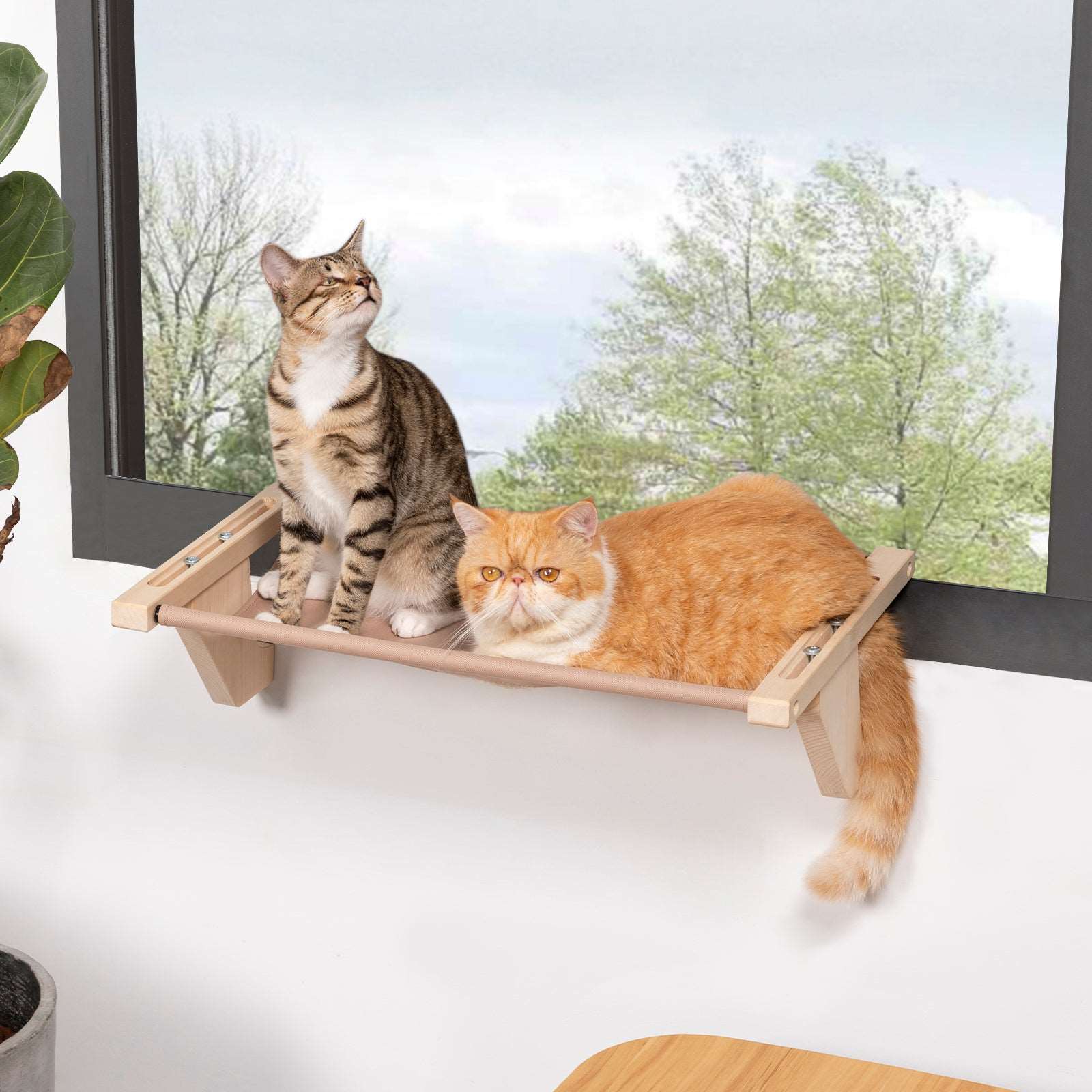 PETSFIT cat window perches Natural Solid Wood with Removable Fleece Mat - PETSFIT STORE