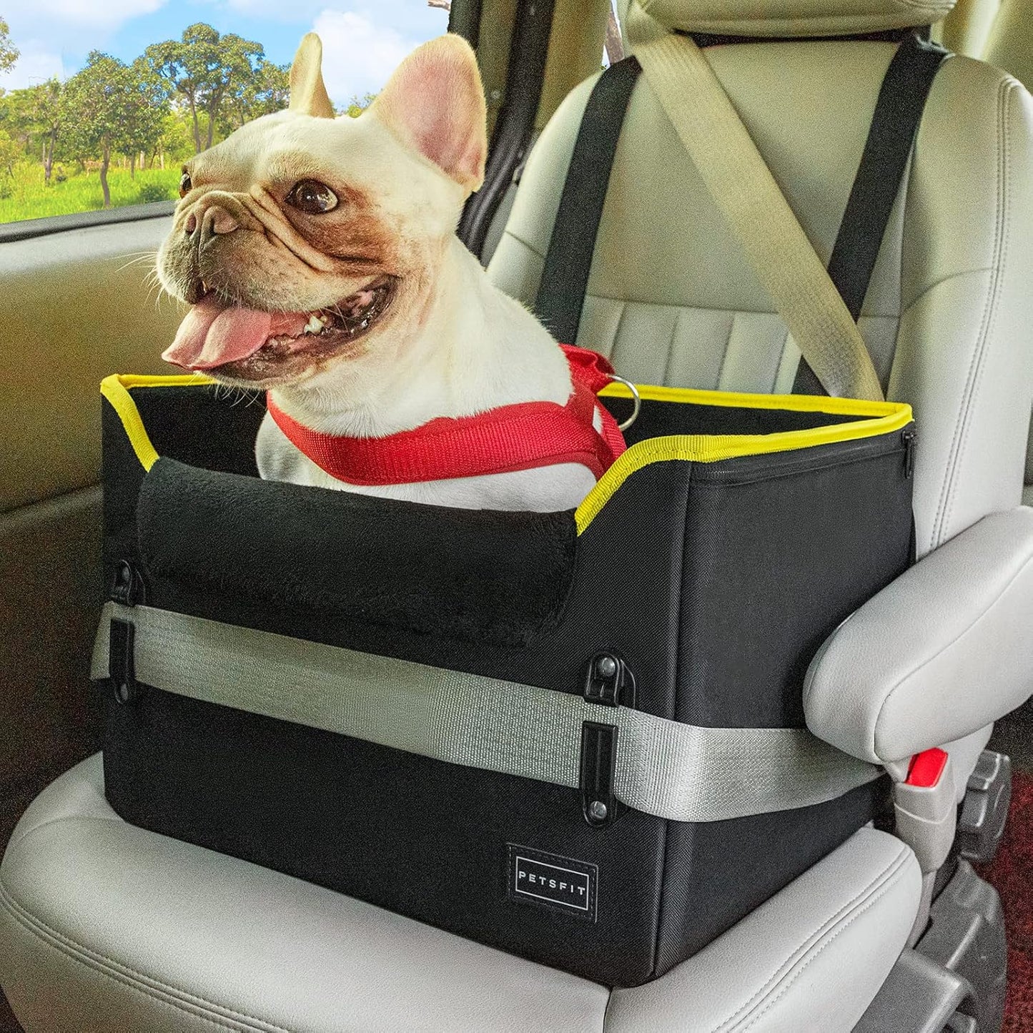 Petsfit Hunde Autositz für kleine Hunde, Hundesitz Auto Rückbank, Extra sicherer Stabiler Hundeautositz Hundesitz mit Sicherheitsgurt-Halteclip und Plüschkissen für kleine Hunde bis zu 6kg, Schwarz