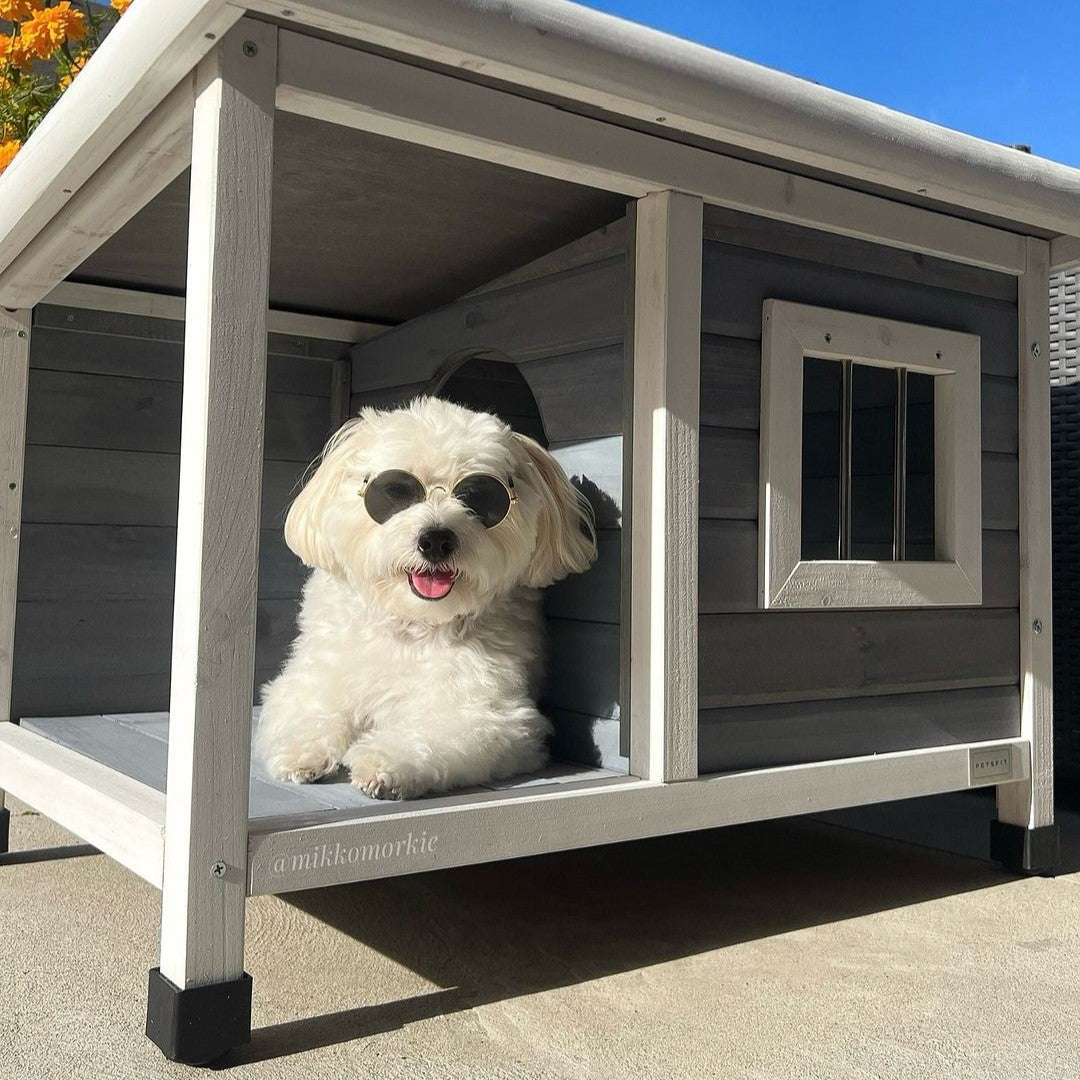 PETSFIT Outdoor  Dog House Wooden for Small Dogs